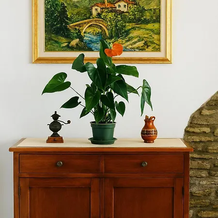 Casa Buon Vento 公寓 *