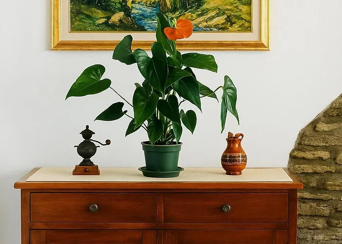 Casa Buon Vento 公寓 *